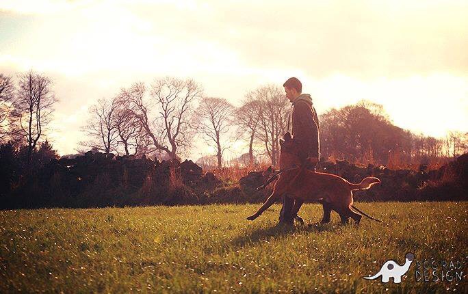 Finchpark K9 Protection Dog Training